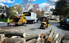 Best Lawn Pest Prevention  in Cataula, GA