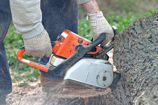 Best Lawn Watering Services  in Cataula, GA